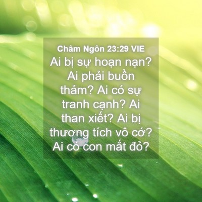 Picture 04 - Châm Ngôn 23:29 VIE - Ai bị sự hoạn nạn? Ai phải buồn - Bible Verse Picture