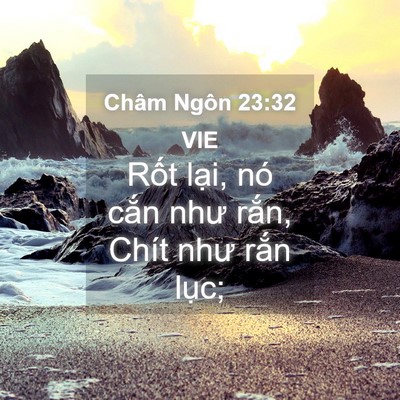 Picture 04 - Châm Ngôn 23:32 VIE - Rốt lại, nó cắn như rắn, Chít như - Bible Verse Picture