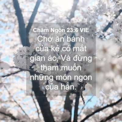Picture 04 - Châm Ngôn 23:6 VIE - Chớ ăn bánh của kẻ có mắt gian ác, - Bible Verse Picture
