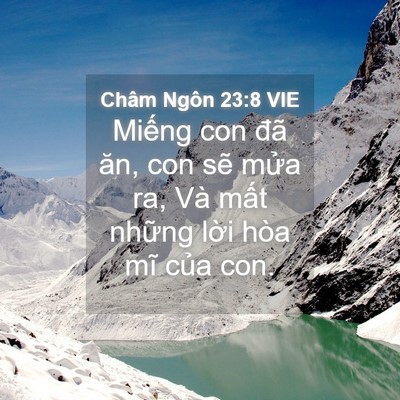 Picture 04 - Châm Ngôn 23:8 VIE - Miếng con đã ăn, con sẽ mửa ra, Và - Bible Verse Picture