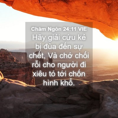 Picture 04 - Châm Ngôn 24:11 VIE - Hãy giải cứu kẻ bị đùa đến sự - Bible Verse Picture