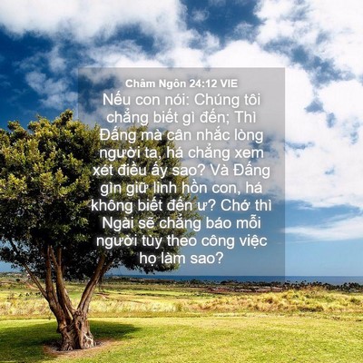 Picture 04 - Châm Ngôn 24:12 VIE - Nếu con nói: Chúng tôi chẳng biết gì - Bible Verse Picture
