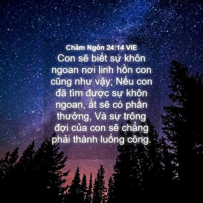 Picture 04 - Châm Ngôn 24:14 VIE - Con sẽ biết sự khôn ngoan nơi linh hồn - Bible Verse Picture