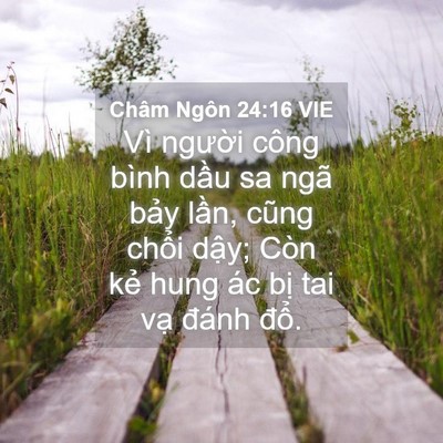 Picture 04 - Châm Ngôn 24:16 VIE - Vì người công bình dầu sa ngã bảy - Bible Verse Picture