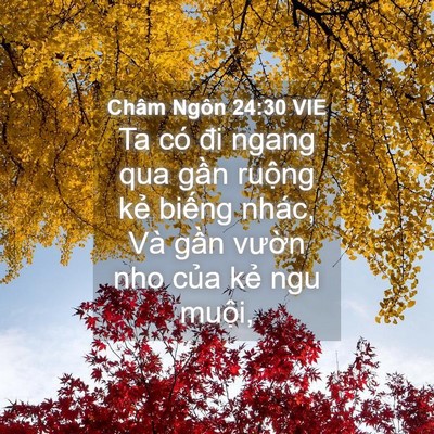 Picture 04 - Châm Ngôn 24:30 VIE - Ta có đi ngang qua gần ruộng kẻ biếng - Bible Verse Picture