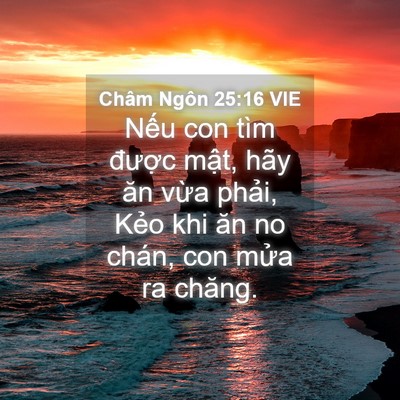 Picture 04 - Châm Ngôn 25:16 VIE - Nếu con tìm được mật, hãy ăn vừa - Bible Verse Picture