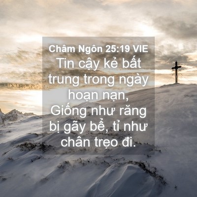 Picture 04 - Châm Ngôn 25:19 VIE - Tin cậy kẻ bất trung trong ngày hoạn - Bible Verse Picture
