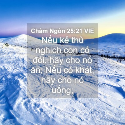 Picture 04 - Châm Ngôn 25:21 VIE - Nếu kẻ thù nghịch con có đói, hãy cho - Bible Verse Picture