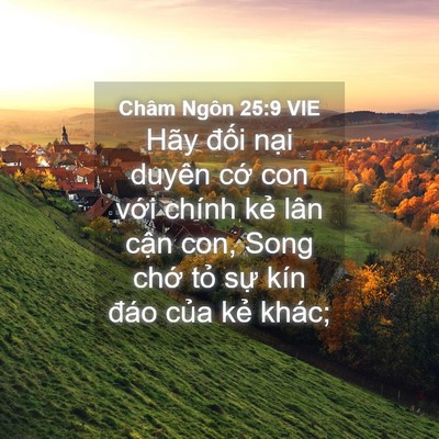 Picture 04 - Châm Ngôn 25:9 VIE - Hãy đối nại duyên cớ con với chính - Bible Verse Picture