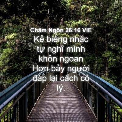 Picture 04 - Châm Ngôn 26:16 VIE - Kẻ biếng nhác tự nghĩ mình khôn ngoan - Bible Verse Picture