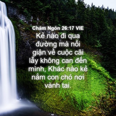 Picture 04 - Châm Ngôn 26:17 VIE - Kẻ nào đi qua đường mà nổi giận về - Bible Verse Picture