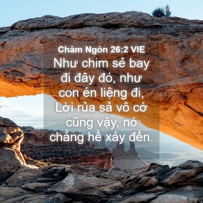 Picture 04 - Châm Ngôn 26:2 VIE - Như chim sẻ bay đi đây đó, như con én - Bible Verse Picture