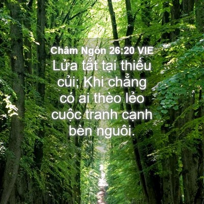 Picture 04 - Châm Ngôn 26:20 VIE - Lửa tắt tại thiếu củi; Khi chẳng có - Bible Verse Picture