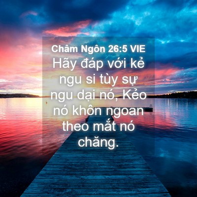 Picture 04 - Châm Ngôn 26:5 VIE - Hãy đáp với kẻ ngu si tùy sự ngu dại - Bible Verse Picture