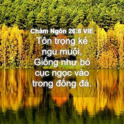 Picture 04 - Châm Ngôn 26:8 VIE - Tôn trọng kẻ ngu muội, Giống như bỏ - Bible Verse Picture