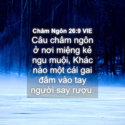 Picture 04 - Châm Ngôn 26:9 VIE - Câu châm ngôn ở nơi miệng kẻ ngu - Bible Verse Picture