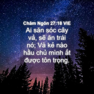 Picture 04 - Châm Ngôn 27:18 VIE - Ai săn sóc cây vả, sẽ ăn trái nó; Và - Bible Verse Picture
