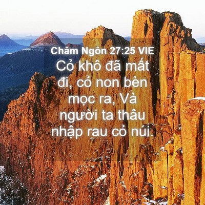Picture 04 - Châm Ngôn 27:25 VIE - Cỏ khô đã mất đi, cỏ non bèn mọc ra, - Bible Verse Picture