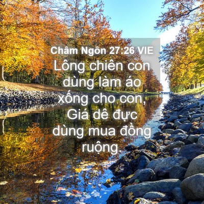 Picture 04 - Châm Ngôn 27:26 VIE - Lông chiên con dùng làm áo xống cho con, - Bible Verse Picture