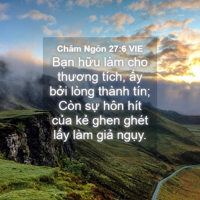 Picture 04 - Châm Ngôn 27:6 VIE - Bạn hữu làm cho thương tích, ấy bởi - Bible Verse Picture