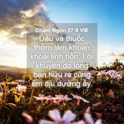 Picture 04 - Châm Ngôn 27:9 VIE - Dầu và thuốc thơm làm khoan khoái linh - Bible Verse Picture