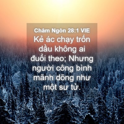 Picture 04 - Châm Ngôn 28:1 VIE - Kẻ ác chạy trốn dầu không ai đuổi - Bible Verse Picture
