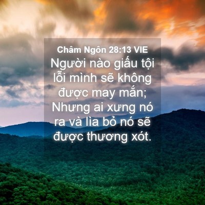 Picture 04 - Châm Ngôn 28:13 VIE - Người nào giấu tội lỗi mình sẽ - Bible Verse Picture