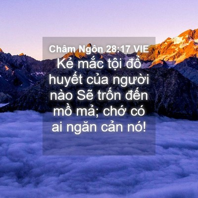 Picture 04 - Châm Ngôn 28:17 VIE - Kẻ mắc tội đổ huyết của người - Bible Verse Picture