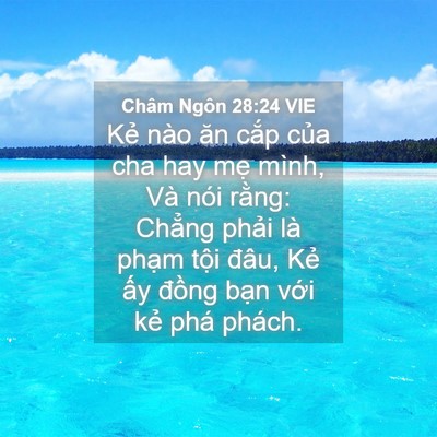 Picture 04 - Châm Ngôn 28:24 VIE - Kẻ nào ăn cắp của cha hay mẹ mình, Và - Bible Verse Picture