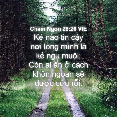 Picture 04 - Châm Ngôn 28:26 VIE - Kẻ nào tin cậy nơi lòng mình là kẻ ngu - Bible Verse Picture