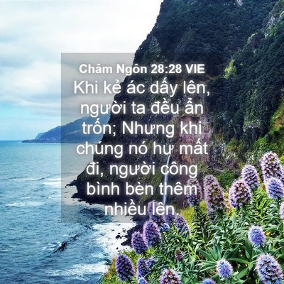 Picture 04 - Châm Ngôn 28:28 VIE - Khi kẻ ác dấy lên, người ta đều ẩn - Bible Verse Picture