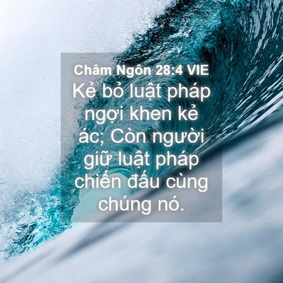 Picture 04 - Châm Ngôn 28:4 VIE - Kẻ bỏ luật pháp ngợi khen kẻ ác; Còn - Bible Verse Picture