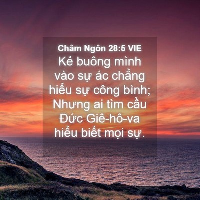 Picture 04 - Châm Ngôn 28:5 VIE - Kẻ buông mình vào sự ác chẳng hiểu - Bible Verse Picture