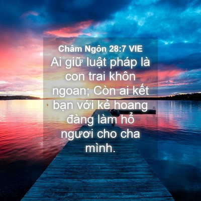 Picture 04 - Châm Ngôn 28:7 VIE - Ai giữ luật pháp là con trai khôn ngoan; - Bible Verse Picture