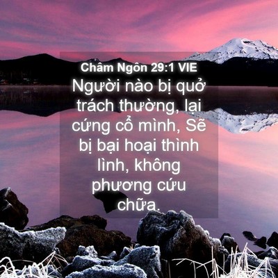 Picture 04 - Châm Ngôn 29:1 VIE - Người nào bị quở trách thường, lại - Bible Verse Picture
