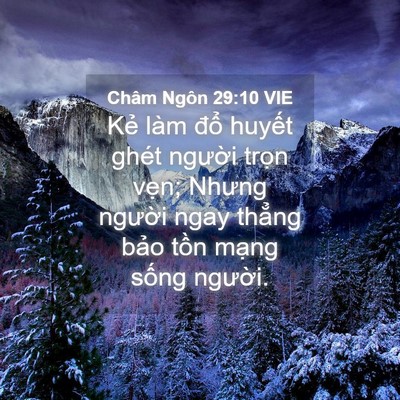 Picture 04 - Châm Ngôn 29:10 VIE - Kẻ làm đổ huyết ghét người trọn - Bible Verse Picture