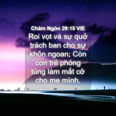 Picture 04 - Châm Ngôn 29:15 VIE - Roi vọt và sự quở trách ban cho sự - Bible Verse Picture