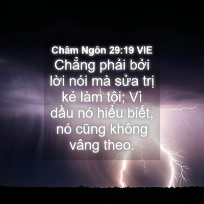 Picture 04 - Châm Ngôn 29:19 VIE - Chẳng phải bởi lời nói mà sửa trị - Bible Verse Picture