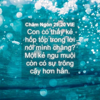 Picture 04 - Châm Ngôn 29:20 VIE - Con có thấy kẻ hốp tốp trong lời nói - Bible Verse Picture