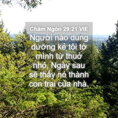 Picture 04 - Châm Ngôn 29:21 VIE - Người nào dung dưỡng kẻ tôi tớ mình - Bible Verse Picture