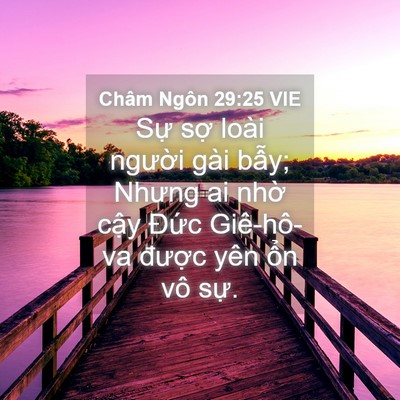 Picture 04 - Châm Ngôn 29:25 VIE - Sự sợ loài người gài bẫy; Nhưng ai - Bible Verse Picture