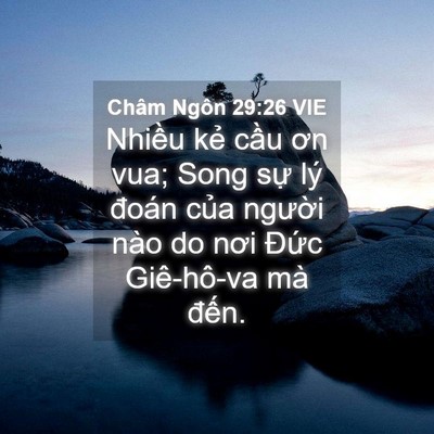 Picture 04 - Châm Ngôn 29:26 VIE - Nhiều kẻ cầu ơn vua; Song sự lý đoán - Bible Verse Picture