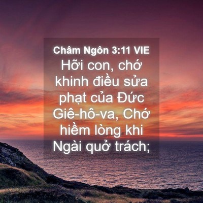 Picture 04 - Châm Ngôn 3:11 VIE - Hỡi con, chớ khinh điều sửa phạt của - Bible Verse Picture