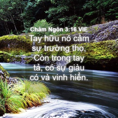 Picture 04 - Châm Ngôn 3:16 VIE - Tay hữu nó cầm sự trường thọ, Còn - Bible Verse Picture
