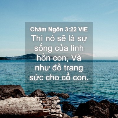Picture 04 - Châm Ngôn 3:22 VIE - Thì nó sẽ là sự sống của linh hồn - Bible Verse Picture