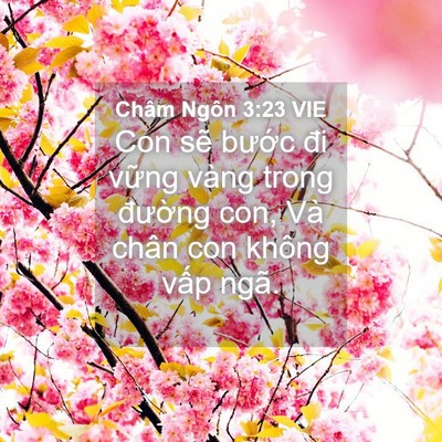 Picture 04 - Châm Ngôn 3:23 VIE - Con sẽ bước đi vững vàng trong đường - Bible Verse Picture