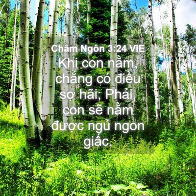 Picture 04 - Châm Ngôn 3:24 VIE - Khi con nằm, chẳng có điều sợ hãi; - Bible Verse Picture