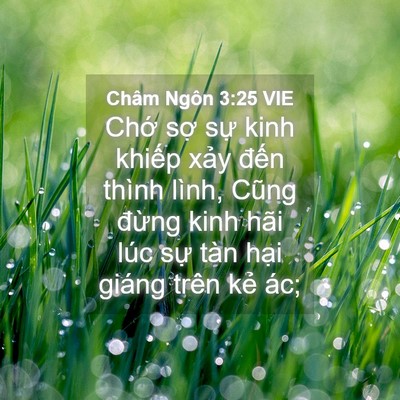 Picture 04 - Châm Ngôn 3:25 VIE - Chớ sợ sự kinh khiếp xảy đến thình - Bible Verse Picture