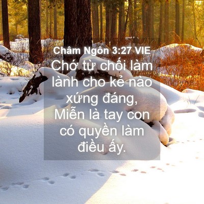Picture 04 - Châm Ngôn 3:27 VIE - Chớ từ chối làm lành cho kẻ nào xứng - Bible Verse Picture