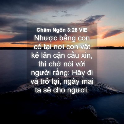 Picture 04 - Châm Ngôn 3:28 VIE - Nhược bằng con có tại nơi con vật kẻ - Bible Verse Picture